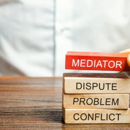 Who pays for mediation?