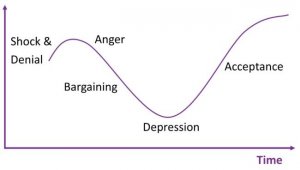 kubler-ross grief cycle chart
