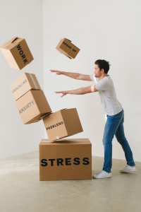 who gets the house on divorce stress and boxes