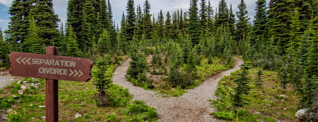 Separation vs Divorce Crossroads