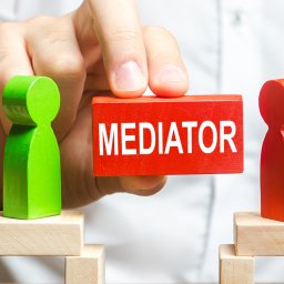 two people and a mediator