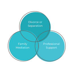 Divorce or separation pie chart