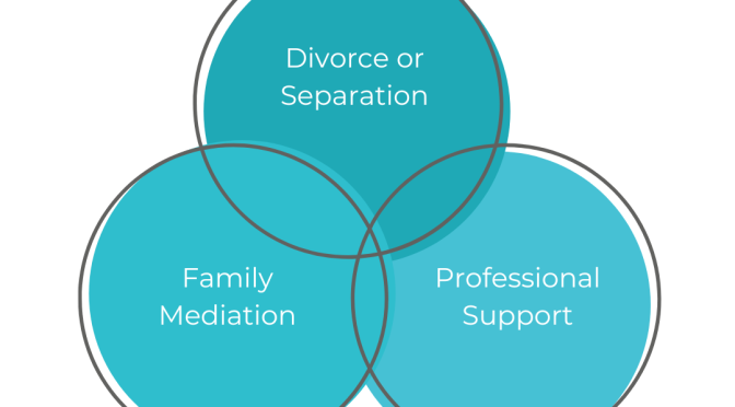 Divorce or separation pie chart