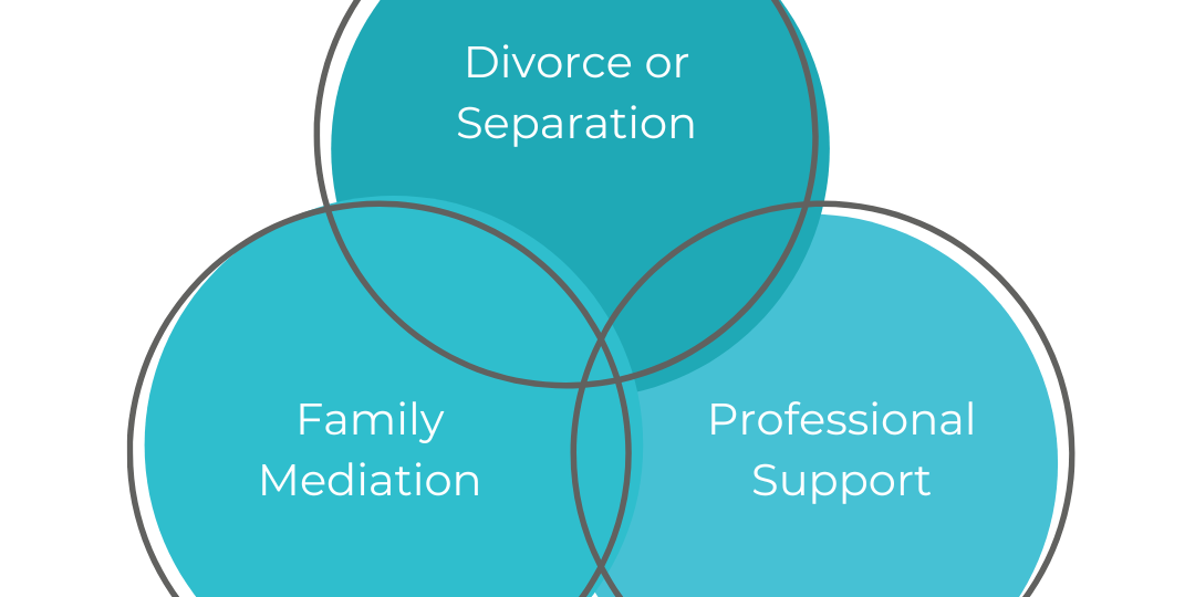 Divorce or separation pie chart